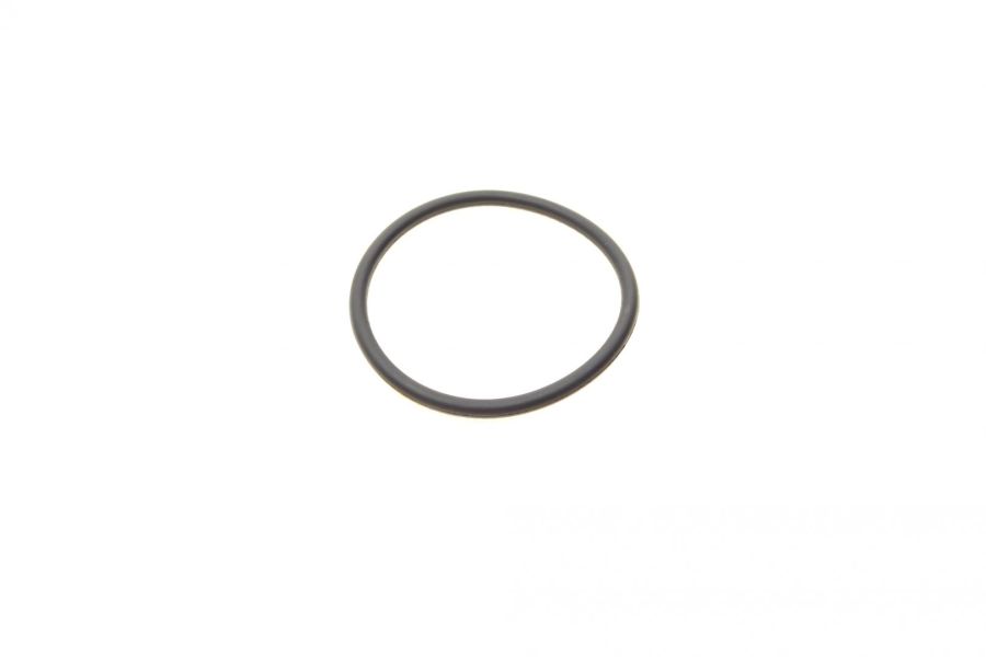 Резиновое кольцо BOSCH F00R0P0166