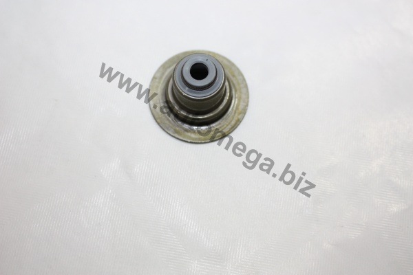 Seal Ring, valve stem AUTOMEGA 190036810