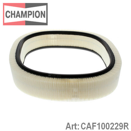 Воздушный фильтр CHAMPION CAF100229R