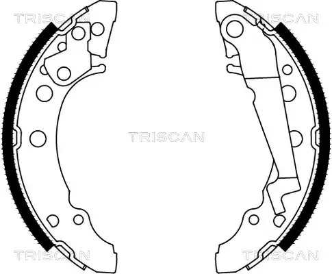 Колодки ручника TRISCAN 810029001