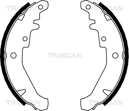 Тормозные колодки барабанные TRISCAN 810015026