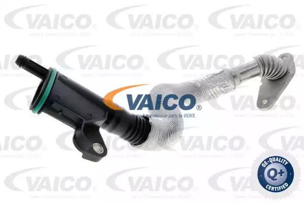 Патрубок вентиляции картера VAICO V104852