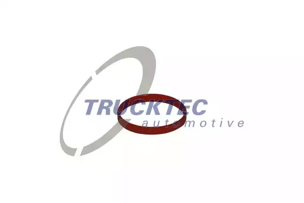 Прокладка впускного коллектора TRUCKTEC 0810060