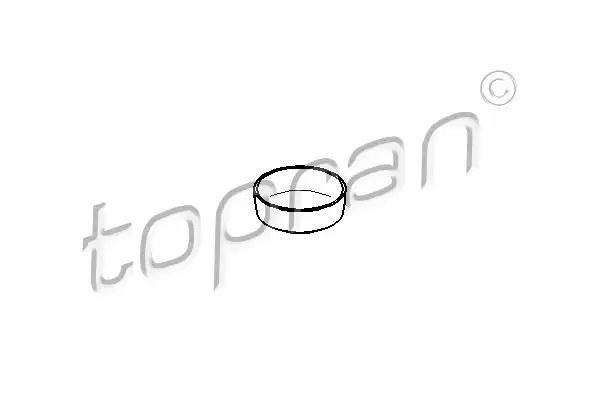 Заглушка блока цилиндров TOPRAN 722670
