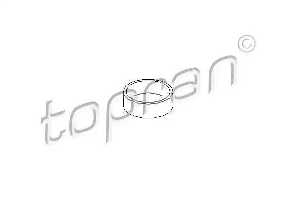 Заглушка блока цилиндров TOPRAN 400431