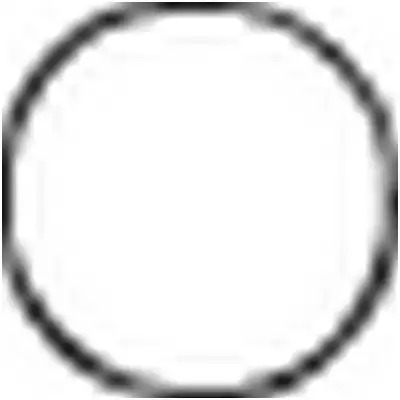 Фото 1 - BOSAL - 256115  Уплотнительное кольцо, труба выхлопного газа