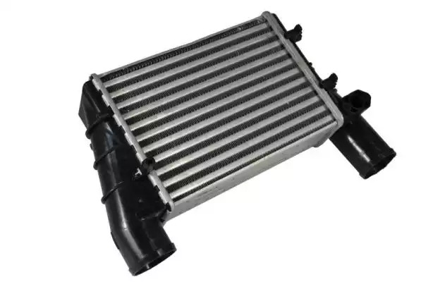 Радиатор охлаждения воздуха Audi A4, A6 THERMOTEC DAW002TT