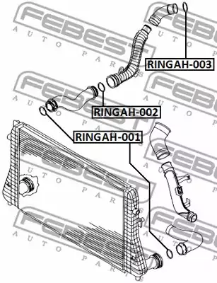 Seal Ring, turbo air hose FEBEST RINGAH003